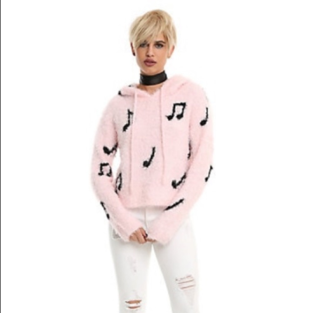HOT TOPIC Pastel Pink Music Note Sweater
